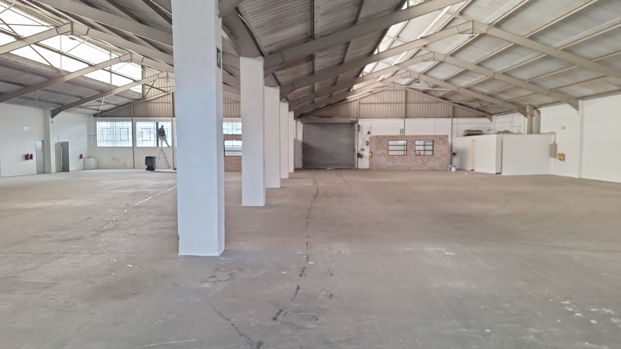 To Let Commercial Property for Rent in Ottery Western Cape